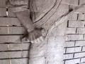 Hand detail