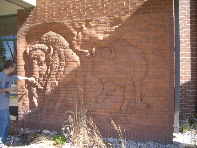 Kathryn McCleery's Buffalo relief
