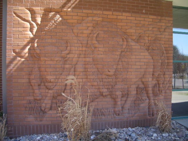 Kathryn McCleery's Buffalo relief 2