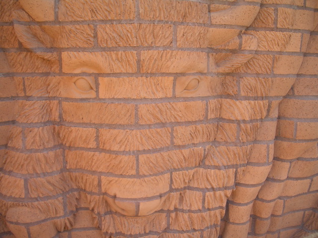 Kathryn McCleery's Buffalo relief detail