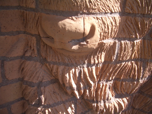 Kathryn McCleery's Buffalo nose detail